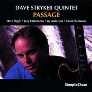 Passage - Dave Stryker