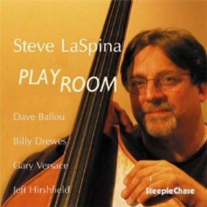 Play Room - Steve Laspina