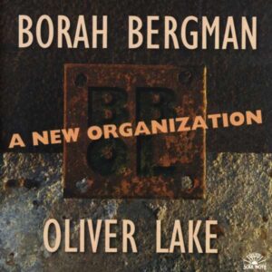Borah Bergman - A New Organization
