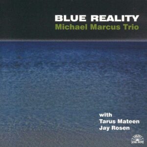 Michael Marcus Trio - Blue Reality