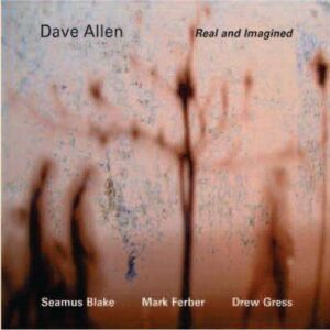 Dave Allen - Real And Imagined