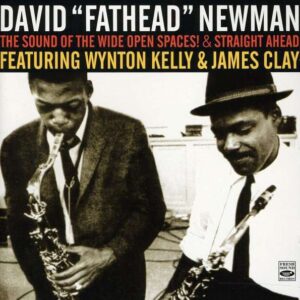 David Fathead Newman - The Sound Of The Wide Ope