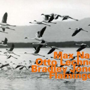 Max Nagl - Flamingos