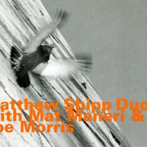 Mat Maneri - Matthew Shipp Duos