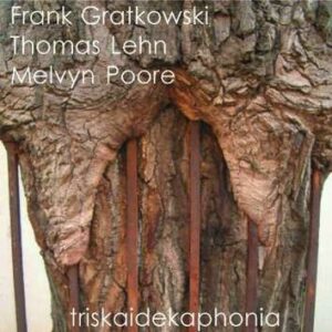 Frank Gratkowski - Triskaidekaphonia