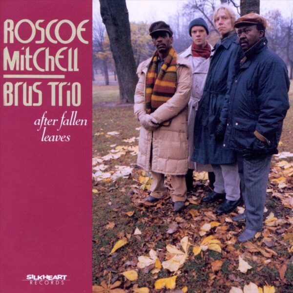 Roscoe Mitchell Brus Trio - After Fallen Leaves