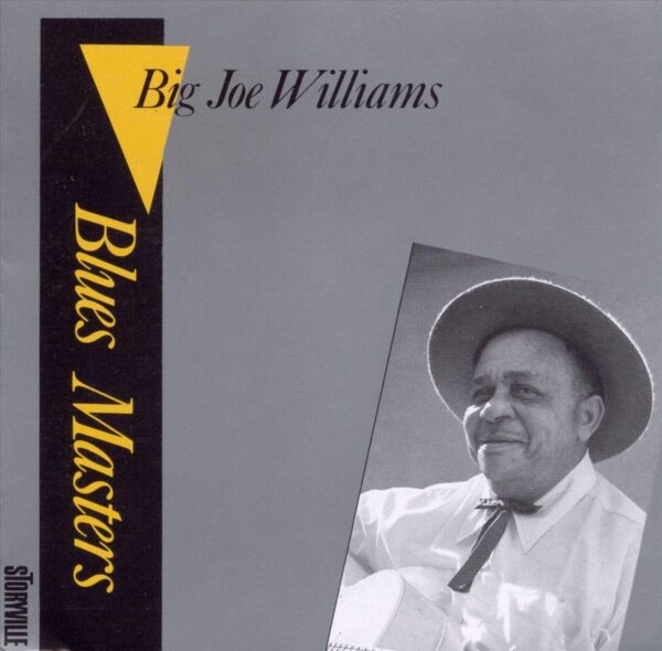 Big Joe Williams - Blues Masters Vol.2