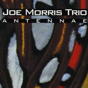 Joe Morris Trio - Antennae