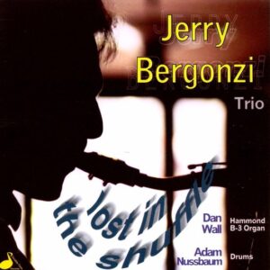 Jerry Bergonzi - Lost Within The Shuffle