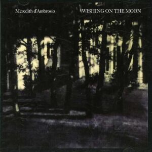 Meredith d'Ambrosio - Wishing On The Moon