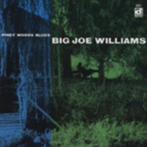 Big Joe Williams - Piney Woody Blues