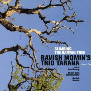Ravish Momin Trio - Climbing The Banyan Tree