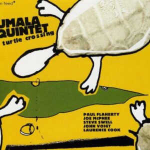 Jumala Quintet - Turtle Crossing