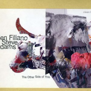 Ken Filiano - The Other Side Of This